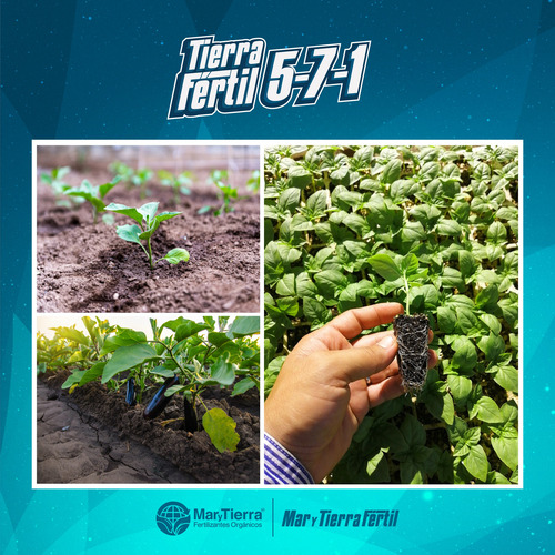 Fertilizante Orgánico De Pescado Floración Tf 5-7-1 1 L