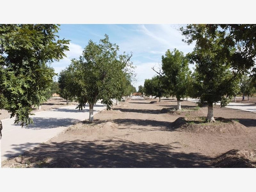 Imagen 3 de 11 de Terreno En Venta En Residencial La Barranca