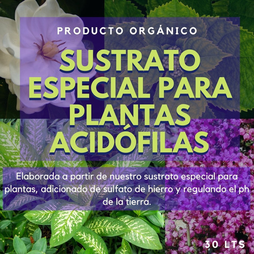 Tierra Tipo Sustrato Especial Para Plantas Acidofilas Jardín