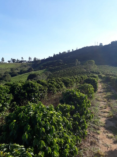 Imagem 3 de 3 de Fazenda Em Penha, Bragança Paulista/sp De 20000m² À Venda Por R$ 400.000,00 - Fa886889-s