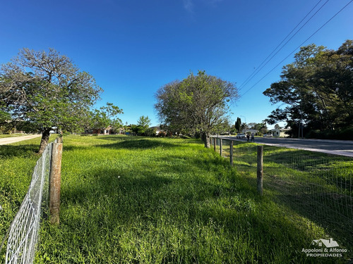 Espectacular Terreno Sobre Av. Battle Y Ordoñez #395
