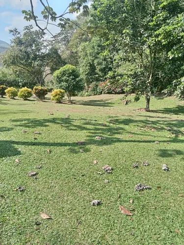 Vendo Lote En Parcelación En Porcesito Vía Medellín Cisneros