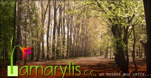 Lotes En Barrio Amarylis Dueño Vende, Desde U$s15.000