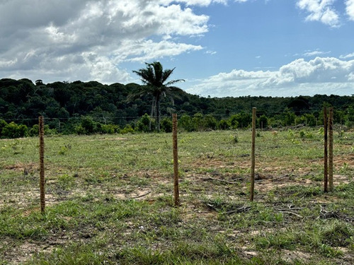 Terreno 29.500 Metros Pertinho Da Praia Com Rio E Linda Mata. Escriturado - Cumuruxatiba - Preço De Ocasião!
