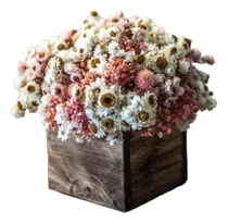 Comprar Arreglo Flores Preservadas Secas Amobium En Cajón De Madera 