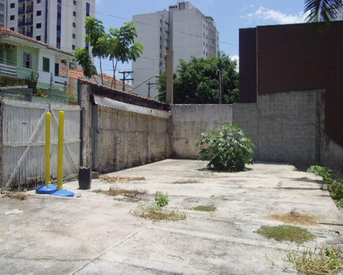 Terreno 1.060 M² 20 X 53 Avenida Sumare - 1348-ted - 67750167