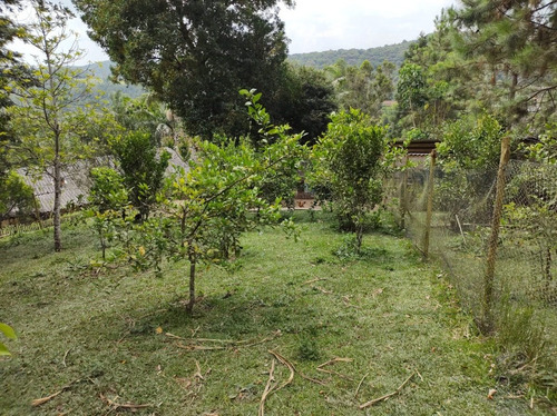 Imagem 4 de 17 de Juquitiba/linda Chácara P/moradia C/piscina/ac/propostas