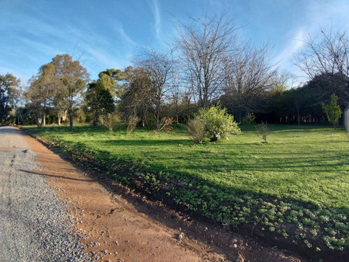 Loteo Campo Las Lunas Con Escritura Gas Natural