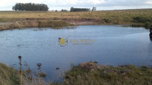 Campo De 35 Has Buen Suelo Con Tajamar, Cañada Agua Permante Y Casa. - Ref: 3175