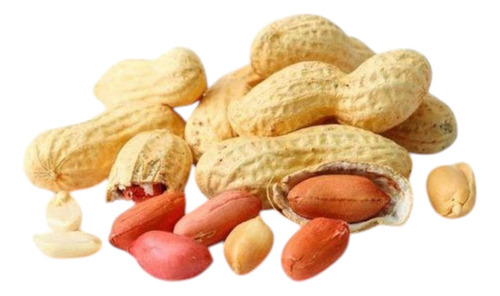 Mani Con Cascara El Buho 200gr X 10 Unidades