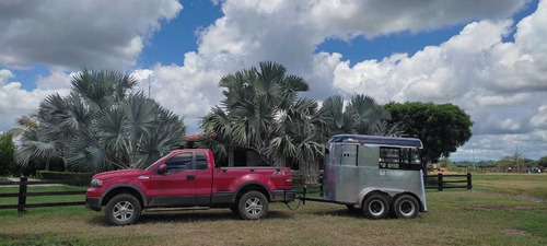 Imagen 6 de 14 de En Venta Finca Productiva En Dos Caminos Guárico