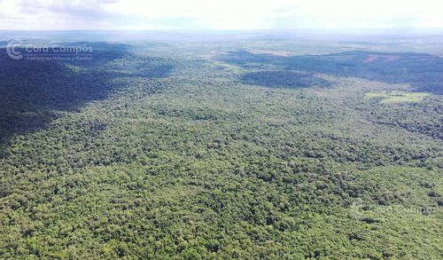 Se Vende Chacra En Roca Chica 71 Ha, Todo Monte Nativo Con Arroyo
