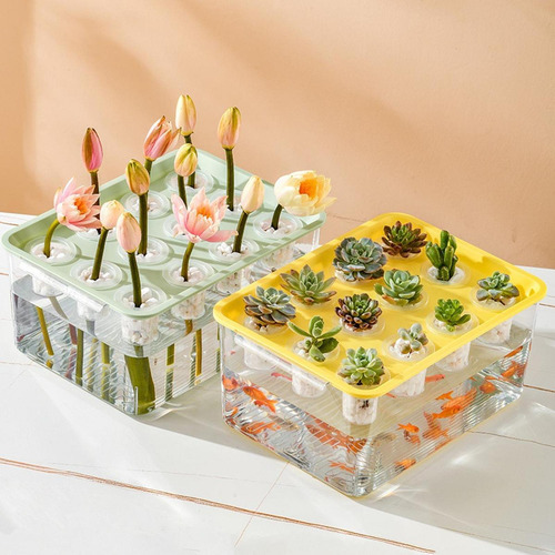 Hidropónico Kit De De Microgreens Caja De Tapa Verde