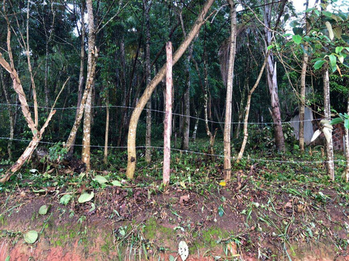 Imagem 1 de 8 de Terreno, Itaim Mirim, Santana De Parnaíba - R$ 100 Mil, Cod: 235506 - V235506