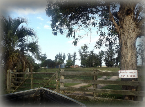 Campo De 35 Hectáreas (con Casa)