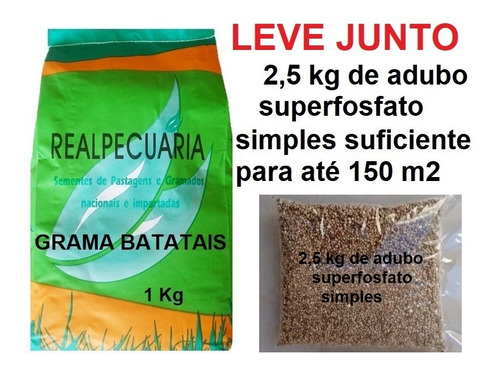 Sementes De Grama Batatais (1 Kg) + 2,5kg De Adubo (p/150m2)