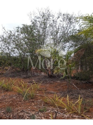 Imagem 25 de 30 de Chácara 11.000m² Em Engenheiro Coelho - Ch00014 - 33452159