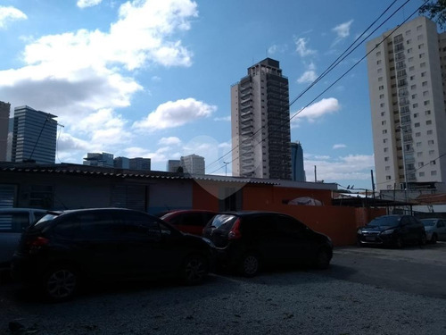 Imagem 10 de 17 de Últimos Terrenos - Reo339944