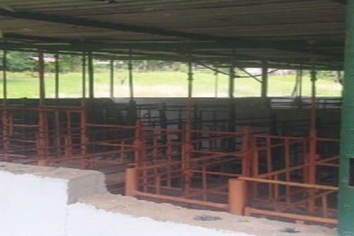 Imagen 8 de 12 de Aa Asein1731 Vende Excelente Finca En El Sector Las Manzanita En Tinaquillo Edo. Cojedes.