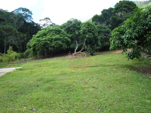 Fazenda À Venda, 968000 M² Por R$ 1.900.000,00 - Posse - Teresópolis/rj - Fa0004
