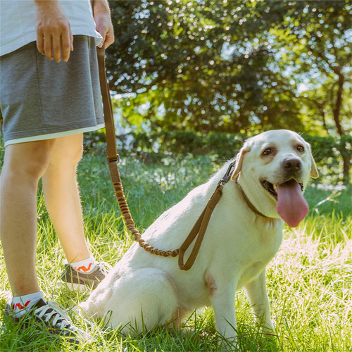 Correa Táctica For Perros Ajustable K9, Correa Elástica