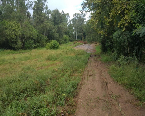 Imagem 6 de 6 de Terreno - T0664 - 32350886