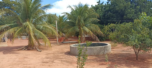 Sítio Com 2 Casas, Água, Internet E Energia - Manga-mg - Ideal Para Lazer Ou Criação