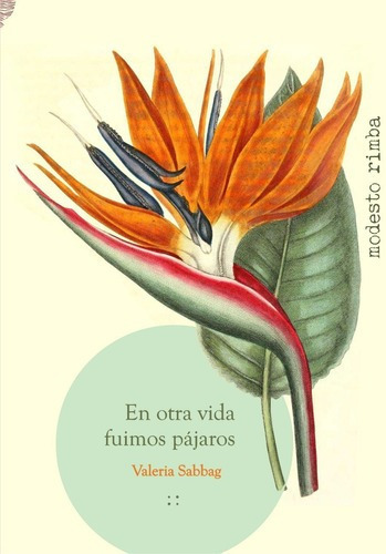 En Otra Vida Fuimos Pájaros, De Valeria Sabbag. Editorial Modesto Rimba En Castellano