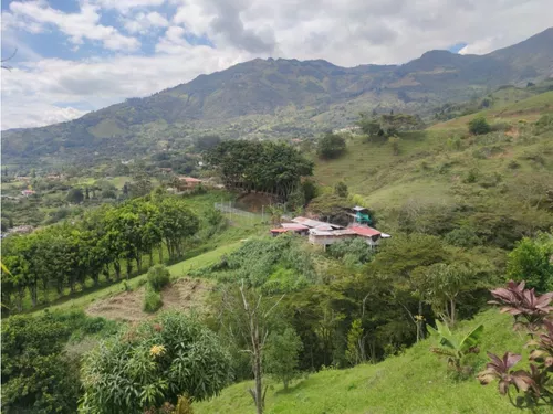 Lote En Girardota Vereda El Limonar