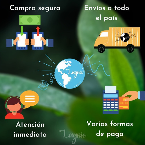 Lagnie 1 Cepillo De Dientes Ecológico De Bambú Con Caja Adulto, Colores Disponibles Al Elegir Variante, Cerda Media Full