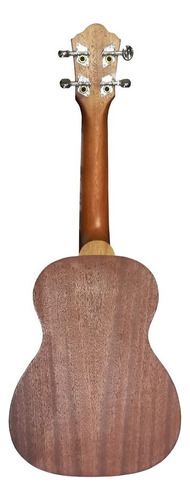 Ukelele Concierto Ibanez Ukc10 Con Funda Color Marrón
