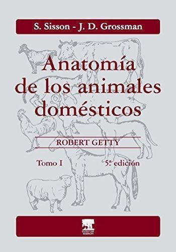 Anatomía De Los Animales Domésticos Sisson Tomo 1 - Elsevier