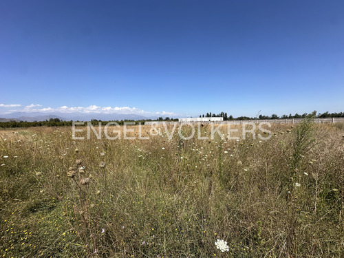Terreno En Venta En Requinoa