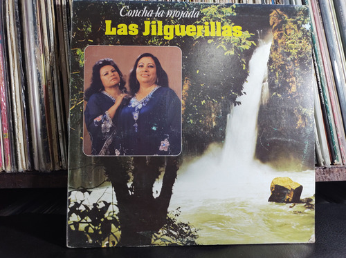 Las Jilguerillas Concha La Mojada Vinilo Lp Vinyl 