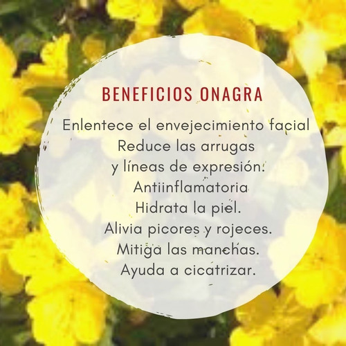 Imagen 4 de 4 de Crema De Noche Redensificante Línea Onagra Weleda