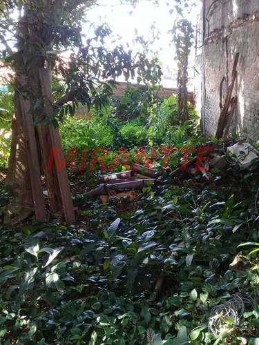 Imagem 5 de 14 de Terreno Em Casa Verde - São Paulo, Sp - 320307