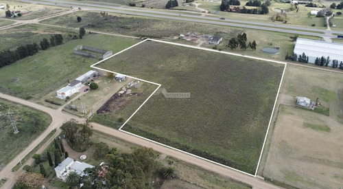 Venta Terreno Las Piedras Pattarino Y Bach Proximo Ruta 5 Y 48 Las Piedras, 25.000m2