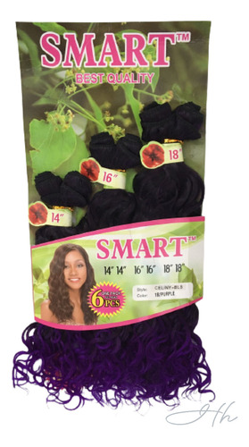 Cabelo Sintético Ondulado Ch Smart/celiny 200gr Cor T1b/purple Preto Com Roxo