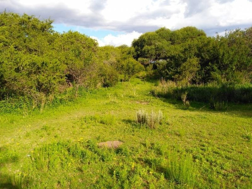 Imagen 8 de 10 de T017 Sl Imperdible Lote De 9.753 M2 Con Escritura En San Lorenzo