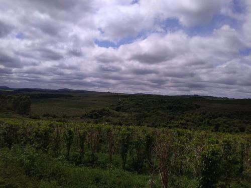 * Excelente Investimento Fazenda Com 390 Hectares * - 21342