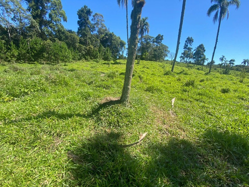 Imagem 5 de 6 de L22-lotes Para Você De Barueri