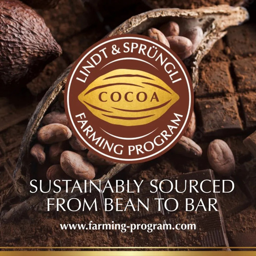 Lindt Excellence 70% Cacao 100grs (3 Barras)