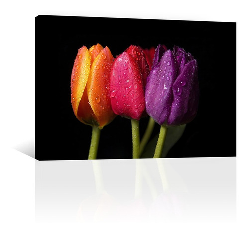 Cuadro Decorativo Canvas Naturaleza Flores Tulipan En Negro