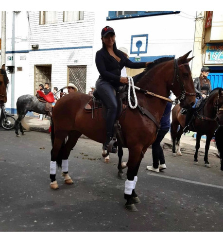 Vendas Para Caballos