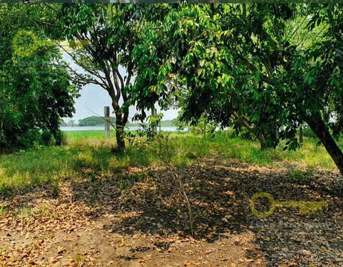 Imagen 1 de 2 de Terreno En Venta, Boulevard Fertimex