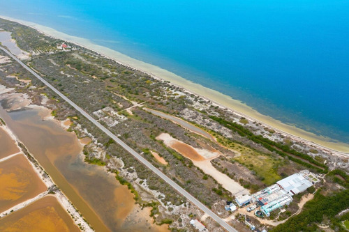 Lotes Navire Frontline Beach Ubicados En Las Playas De Santa Clara, Yucatán.