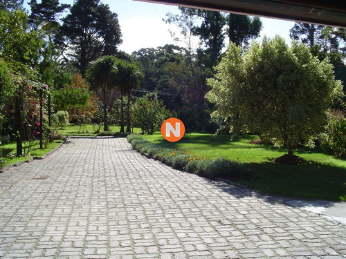 Excelente Negocio, Precio Rebajado, Venta 4.000 Metros De Tierra.- Ref: 216273