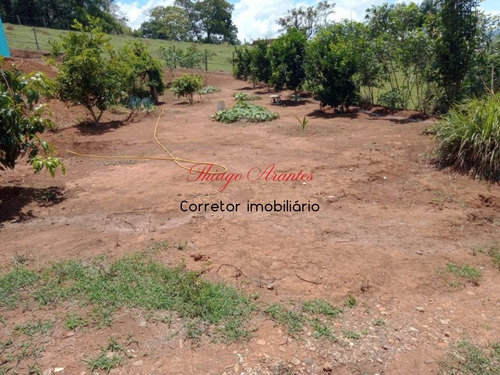 Imagem 7 de 14 de Chacara - Ch00176 - 69528884