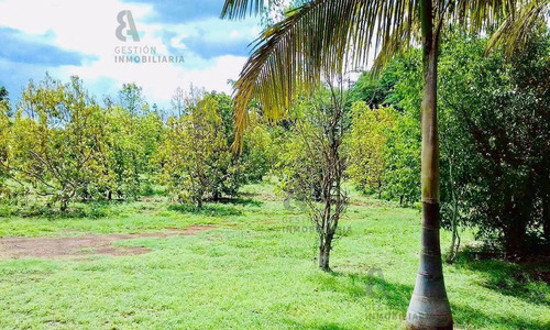 Imagen 5 de 8 de Terreno En Venta Sobre Carretera Ticul, Yucatán. Ctv15.