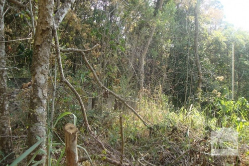 Imagem 8 de 10 de Lote Em Condomínio À Venda No Arvoredo - Código 218875 - 218875